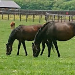 ノーザンホースパークに投稿された画像（2022/5/21）