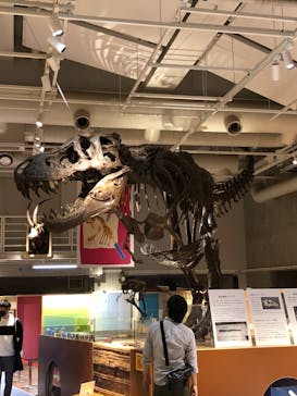 国立科学博物館に投稿された画像（2022/5/21）