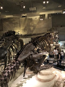 国立科学博物館に投稿された画像（2022/5/21）