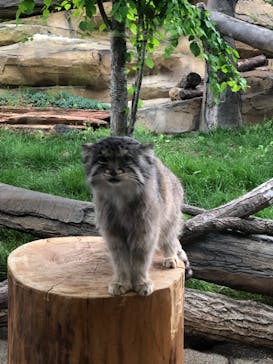 那須どうぶつ王国に投稿された画像（2022/5/21）