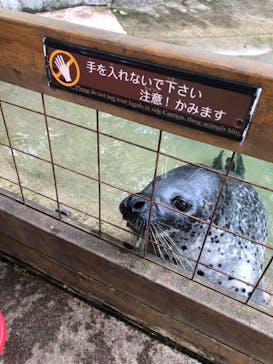 那須どうぶつ王国に投稿された画像（2022/5/21）