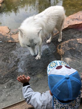 那須どうぶつ王国に投稿された画像（2022/5/21）
