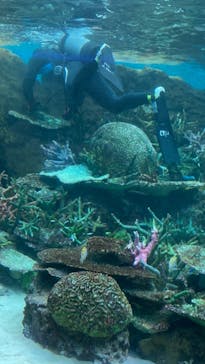名古屋港水族館に投稿された画像（2022/5/21）