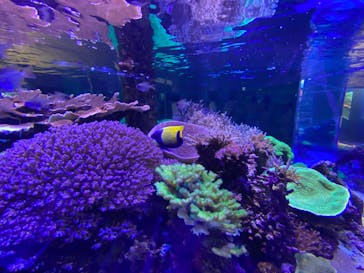 名古屋港水族館に投稿された画像（2022/5/21）