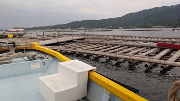 島田水産　かき小屋に投稿された画像（2022/5/21）