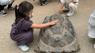 神戸どうぶつ王国に投稿された画像（2022/5/21）