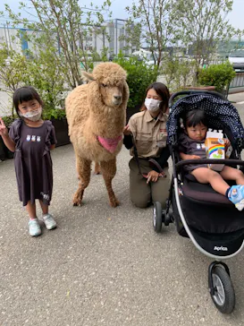 神戸どうぶつ王国に投稿された画像（2022/5/21）