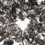 アドベンチャーパーク　オドルの森に投稿された画像（2022/5/21）