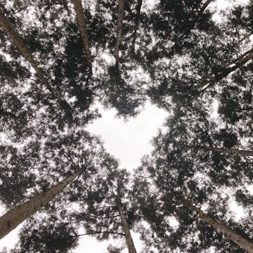 アドベンチャーパーク　オドルの森に投稿された画像（2022/5/21）