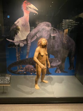 国立科学博物館に投稿された画像（2022/5/21）