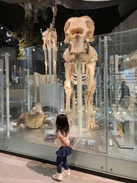 国立科学博物館に投稿された画像（2022/5/21）