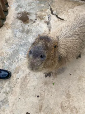 横浜・八景島シーパラダイスに投稿された画像（2022/5/21）