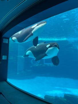 名古屋港水族館に投稿された画像（2022/5/21）