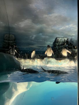 名古屋港水族館に投稿された画像（2022/5/21）