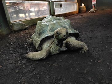 体感型動物園iZooに投稿された画像（2022/5/21）