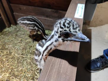 体感型動物園iZooに投稿された画像（2022/5/21）