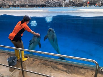 名古屋港水族館に投稿された画像（2022/5/21）