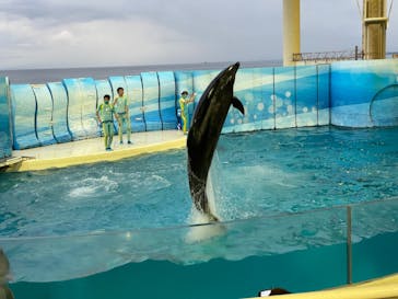新江ノ島水族館に投稿された画像（2022/5/21）