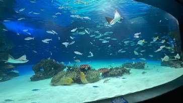 サンシャイン水族館に投稿された画像（2022/5/21）