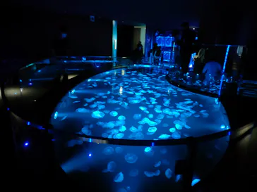 すみだ水族館に投稿された画像（2022/5/21）