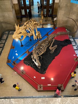 国立科学博物館　特別企画展「ポケモン化石博物館」に投稿された画像（2022/5/21）