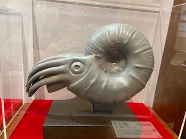 国立科学博物館　特別企画展「ポケモン化石博物館」に投稿された画像（2022/5/21）