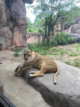 天王寺動物園に投稿された画像（2022/5/21）