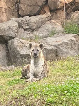 天王寺動物園に投稿された画像（2022/5/21）