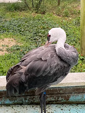 天王寺動物園に投稿された画像（2022/5/21）
