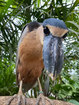 神戸どうぶつ王国に投稿された画像（2022/5/21）