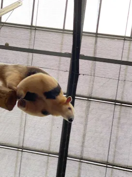 神戸どうぶつ王国に投稿された画像（2022/5/21）