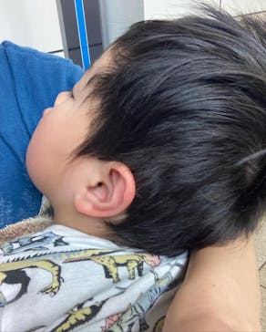 国立科学博物館に投稿された画像（2022/5/21）