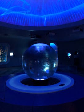 新江ノ島水族館に投稿された画像（2022/5/21）