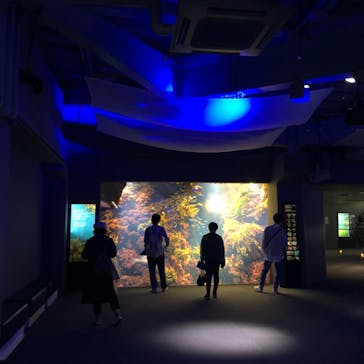 新江ノ島水族館に投稿された画像（2022/5/21）