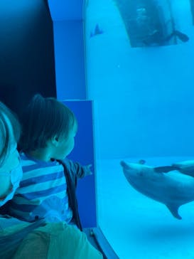 名古屋港水族館に投稿された画像（2022/5/21）