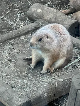 横浜・八景島シーパラダイスに投稿された画像（2022/5/21）