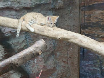 那須どうぶつ王国に投稿された画像（2022/5/21）