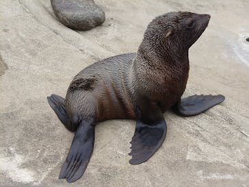 那須どうぶつ王国に投稿された画像（2022/5/21）