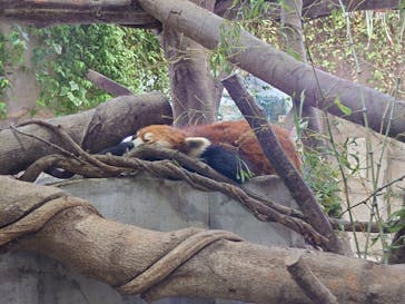 那須どうぶつ王国に投稿された画像（2022/5/21）