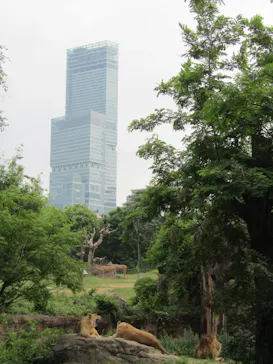 天王寺動物園に投稿された画像（2022/5/21）