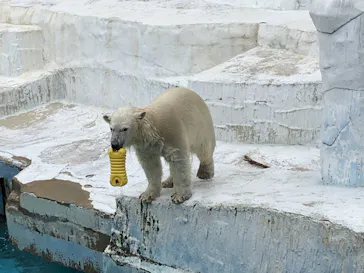 天王寺動物園に投稿された画像（2022/5/21）