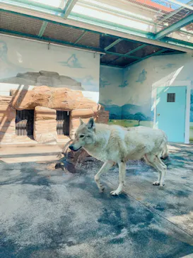 天王寺動物園に投稿された画像（2022/5/22）