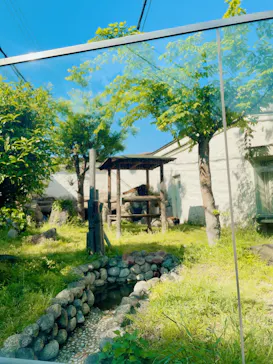 天王寺動物園に投稿された画像（2022/5/22）