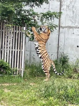 天王寺動物園に投稿された画像（2022/5/22）