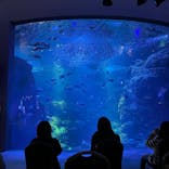 新江ノ島水族館に投稿された画像（2022/5/22）