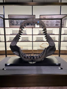 アクアワールド茨城県大洗水族館に投稿された画像（2022/5/22）