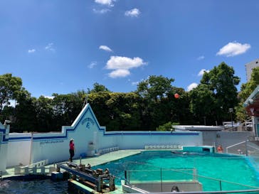 しながわ水族館に投稿された画像（2022/5/22）