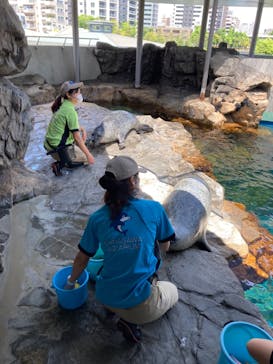しながわ水族館に投稿された画像（2022/5/22）