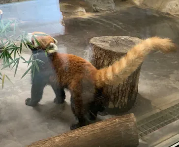 天王寺動物園に投稿された画像（2022/5/22）