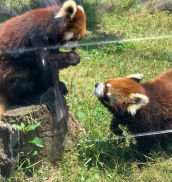 天王寺動物園に投稿された画像（2022/5/22）